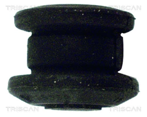 Bussning från TRISCAN