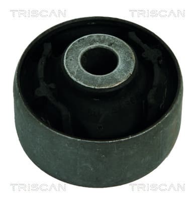 Bussning från TRISCAN