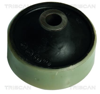 Bussning från TRISCAN