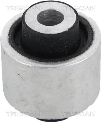 Bussning från TRISCAN