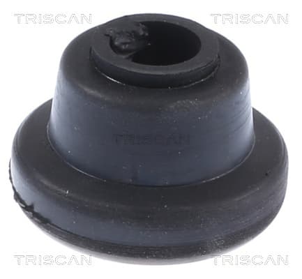 Bussning från TRISCAN