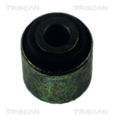 Bussning från TRISCAN