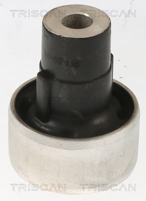 Bussning från TRISCAN