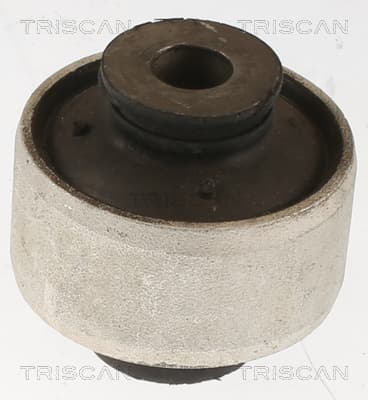 Bussning från TRISCAN