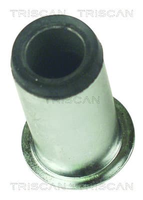 Bussning från TRISCAN