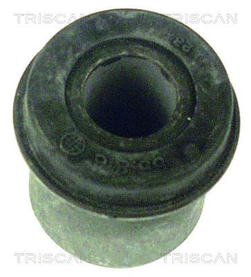 Bussning från TRISCAN
