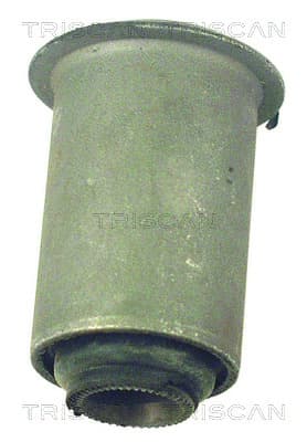 Bussning från TRISCAN