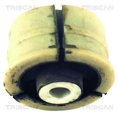 Bussning från TRISCAN