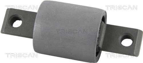 Bussning från TRISCAN