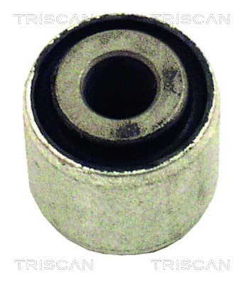 Bussning från TRISCAN