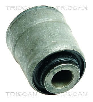 Bussning från TRISCAN