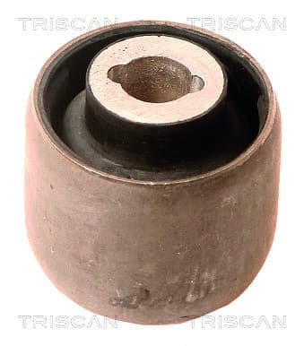 Bussning från TRISCAN