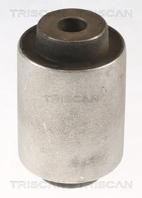 Bussning från TRISCAN