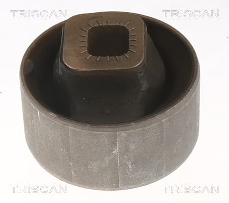 Bussning från TRISCAN