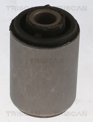 Bussning från TRISCAN