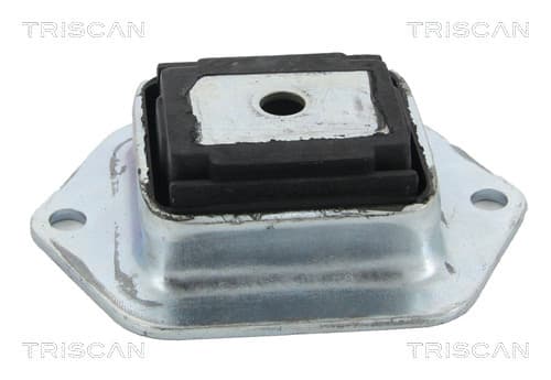 Axelhållere, axelkropp från TRISCAN