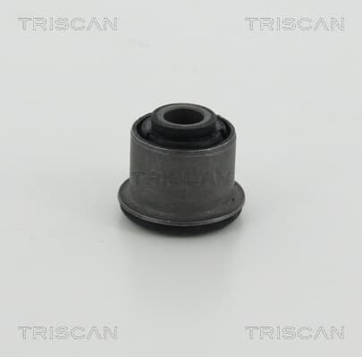 Bussning från TRISCAN
