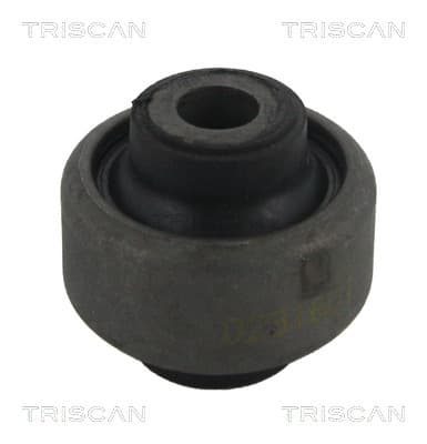 Bussning från TRISCAN
