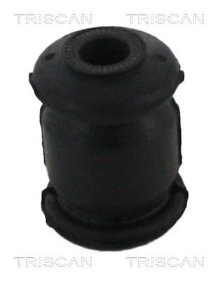 Bussning från TRISCAN