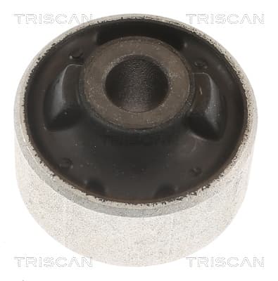 Bussning från TRISCAN