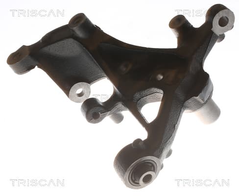 Spindelbult från TRISCAN
