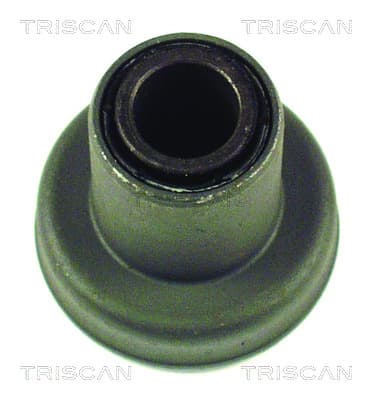 Bussning från TRISCAN
