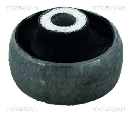 Bussning från TRISCAN