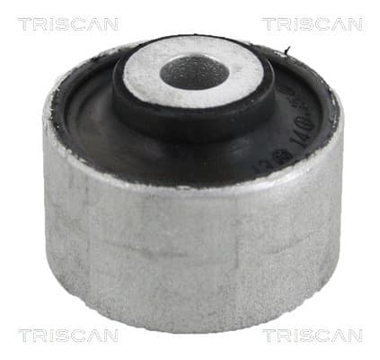 Bussning från TRISCAN