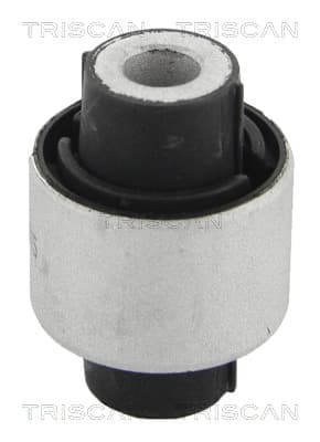 Bussning från TRISCAN