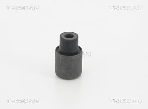 Bussning från TRISCAN