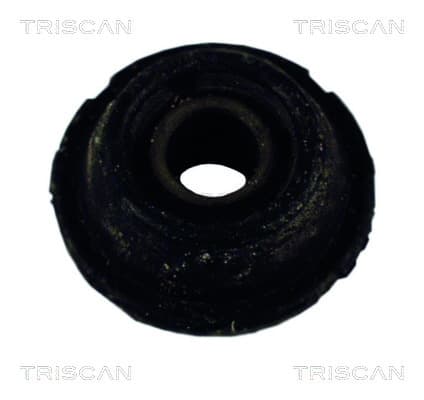 Bussning från TRISCAN