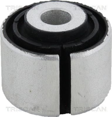 Bussning från TRISCAN