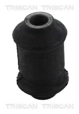 Bussning från TRISCAN