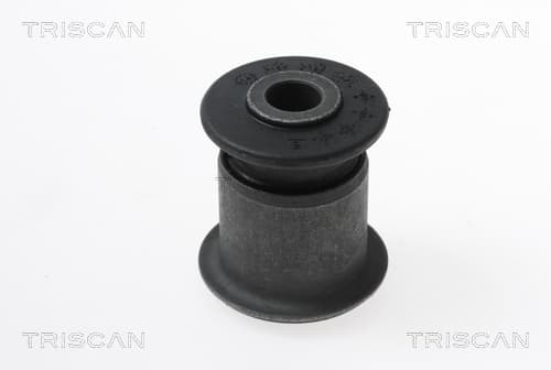 Bussning från TRISCAN