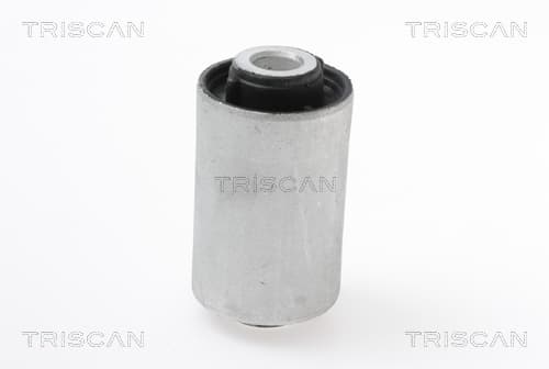 Bussning från TRISCAN