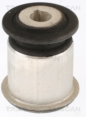 Bussning från TRISCAN