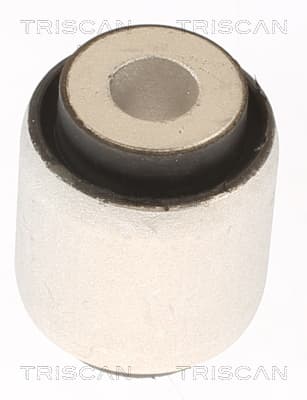 Bussning från TRISCAN