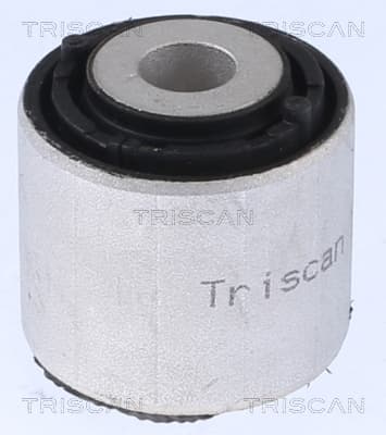 Bussning från TRISCAN