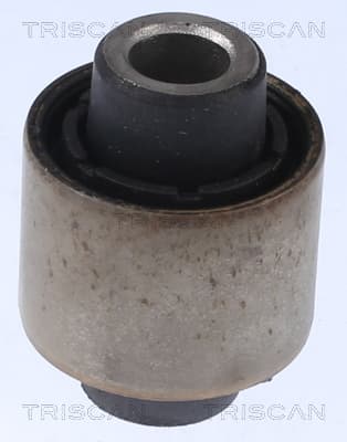 Bussning från TRISCAN