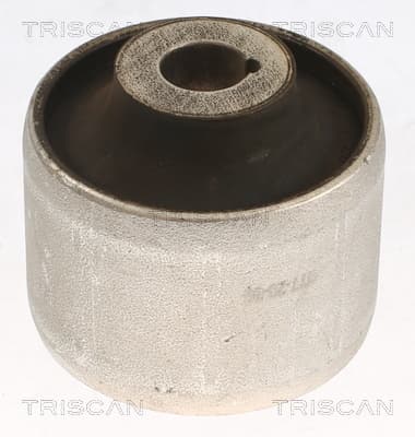 Bussning från TRISCAN