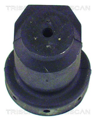 Bussning från TRISCAN