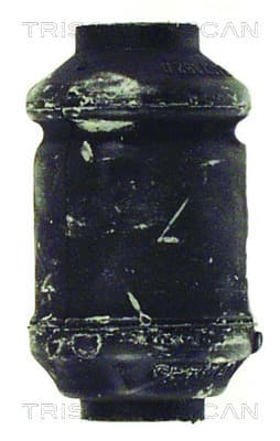 Bussning från TRISCAN