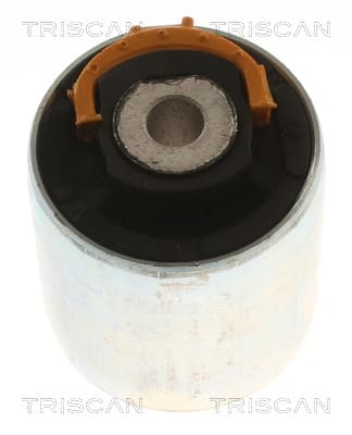 Bussning från TRISCAN