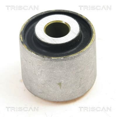 Bussning från TRISCAN