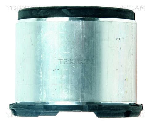 Upphängning axelstomme från TRISCAN