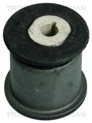 Bussning från TRISCAN