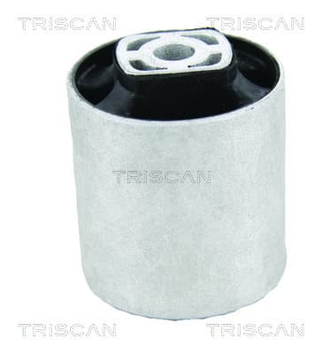 Bussning från TRISCAN