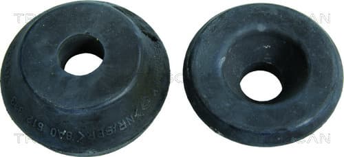 Fjäderbenslager bakre — Bakaxel från TRISCAN