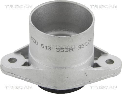 Fjäderbenslager bakre — Bakaxel från TRISCAN