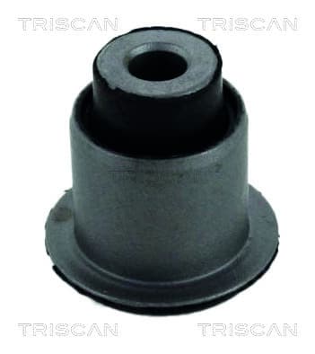 Bussning från TRISCAN